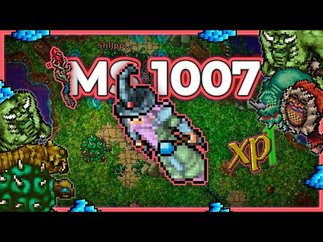MS 1007 Hunt x4 Sparkling Pools (Hz 9) 14.1kk/h Raw + 5.2kk Profit - Tibia Hunt [15.30]