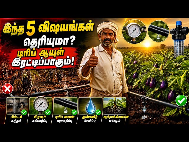 டிரிப் பராமரிப்பு செய்யாததால் உங்களுக்கு பெரிய நஷ்டம் வரலாம்!