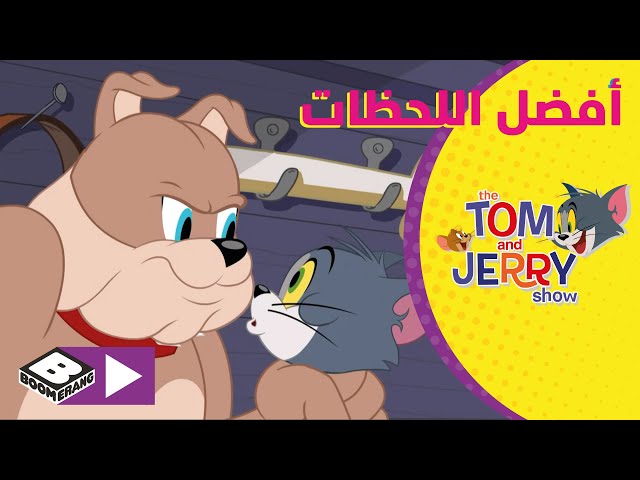 توم وجيري | سبايك ضد توم | بوميرانغ