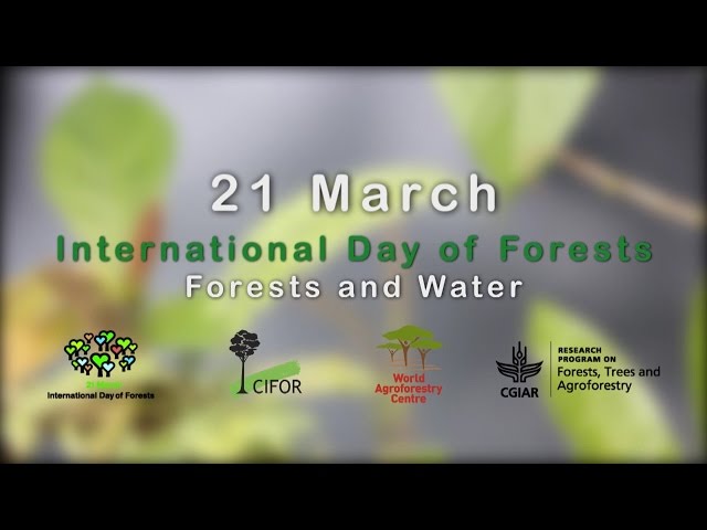 International Day of Forests 2016: A Conversation with the DGs of CIFOR and ICRAF (Part 1)