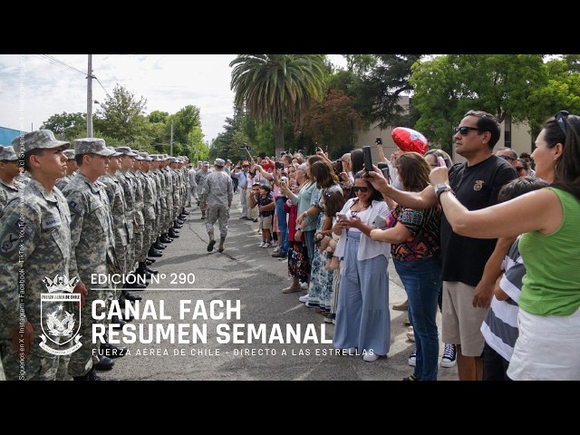 FACH CHANNEL EDITION No. 290 / WEEKLY SUMMARY
