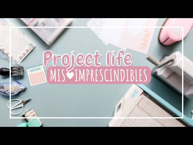 📅 PROJECT LIFE: My must-have scrapbooking supplies to stay up-to-date on my favorite project