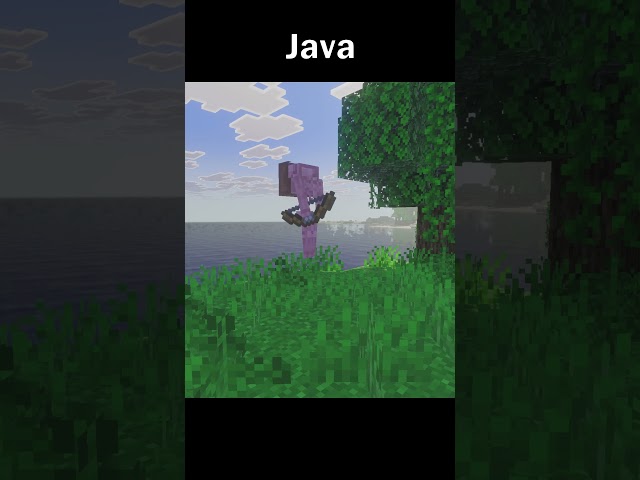 Minecraft Bugrock and Java Skeletons Moment P2 #minecraft #gaming #shorts #youtubeshorts #viralvideo