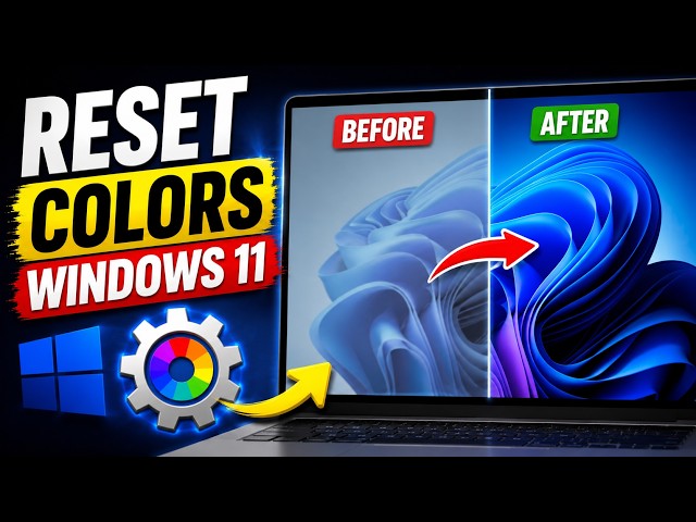 Windows 11 Screen Colors Wrong? Reset Color Settings Easily