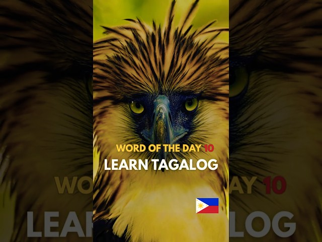 TAGALOG WORD OF THE DAY🤔💭DISCOVER THE BEAUTY OF THE FILIPINO LANGUAGE VIDEO 10