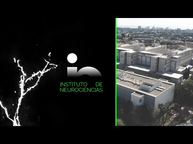 ¡Conócenos! Instituto de Neurociencias UMH-CSIC