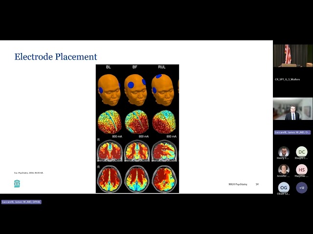 Real-World Evidence: ECT and Catatonia - James W. Luccarelli
