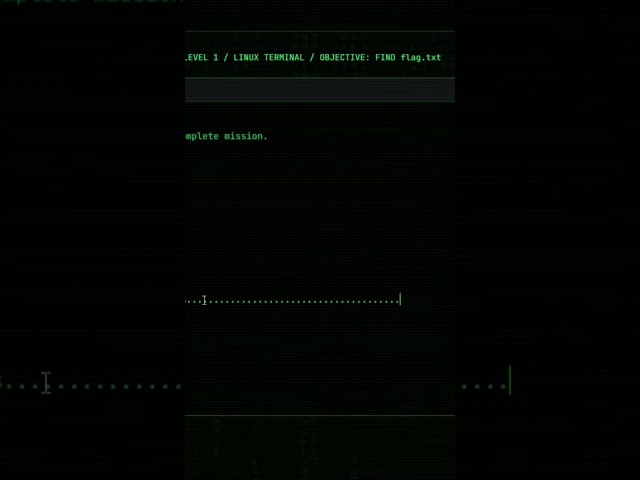 A Filipino mobile technician created a realistic hacking game.