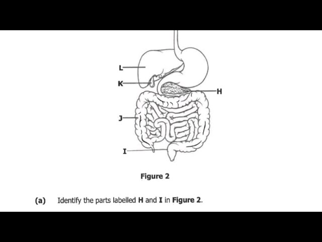 2024 Biology paper 2 Grade 12 Q2 Internal