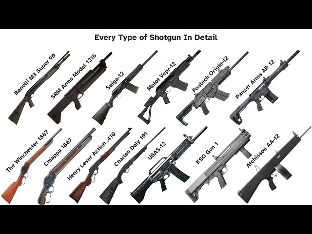Every Type of Shotgun In Detail!