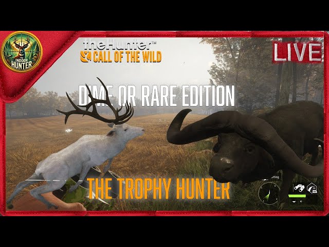 Hunting For the Trophy Lodge  ( Run and Gun)  | theHunter Call of the Wild