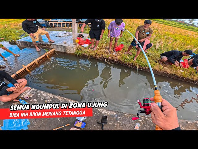 TITIK KUMPUL LELE! Saking Cepetnya Disambar Lomba Mancing Lele Kali Ini Saya Sampai Kena Nerf