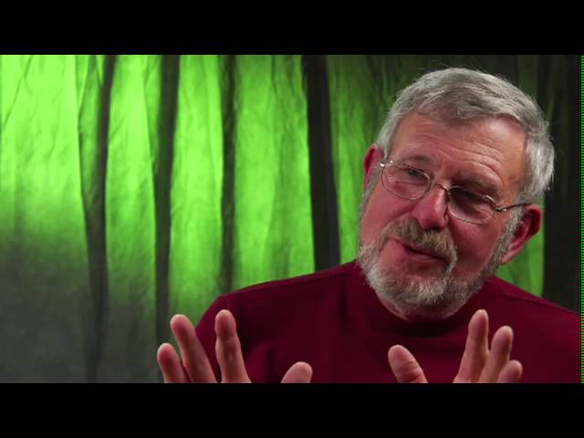 Bob Dalsemer: Traditional Dance Is a Polished Rock