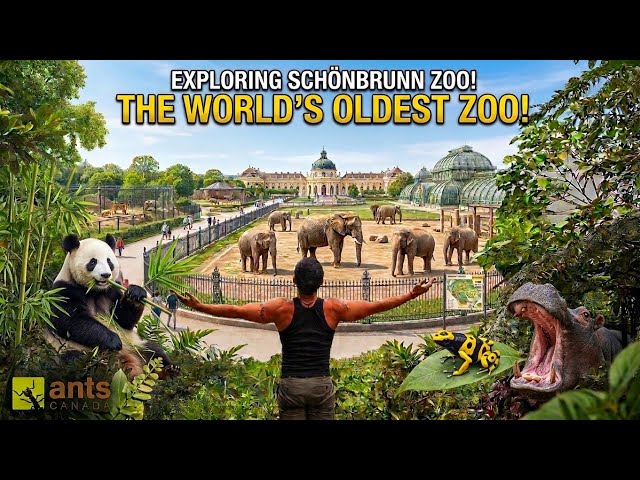 Exploring the Oldest Zoo in the World | Inspiration for My Own Zoo