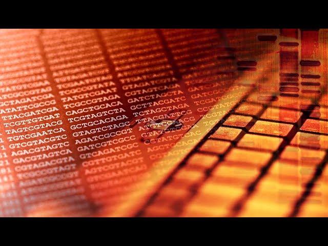 Bioinformatics for Beginners