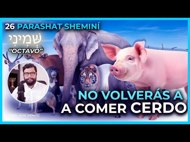 No volverás a COMER CERDO | Santidad en la Alimentación | #26 PARASHAT SHEMINÍ  (OCTAVO)