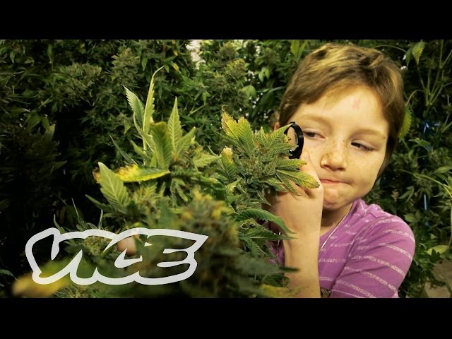 Marijuana Minors | WEEDIQUETTE