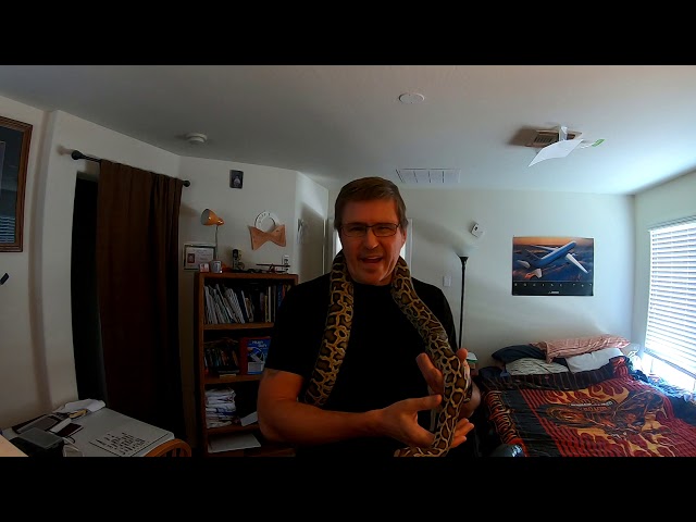 BURMESE PYTHON 8 MONTHS LATER