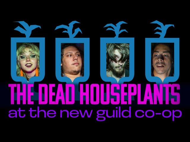 The 'Dead House Plants' at The New Guild CO-OP in 360vr