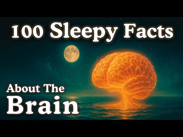 100 Facts About The Brain — Fall Asleep to Science