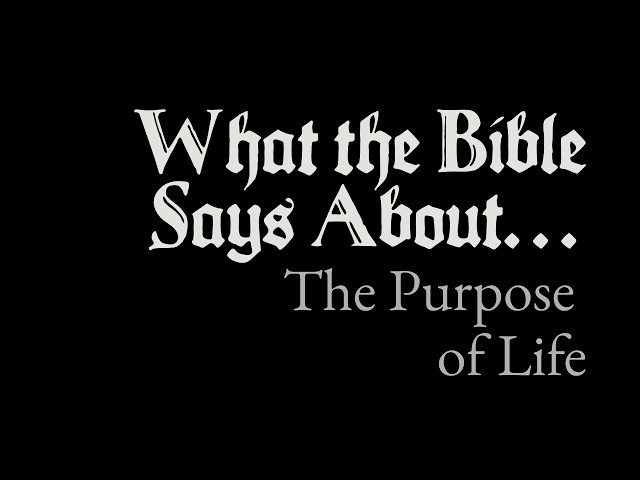 What the Bible Says About The Purpose of Life