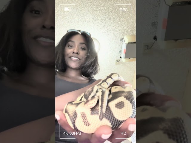 And in the beginning. 🌎