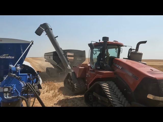 Harvest 3: Somebody’s Watching ME!!