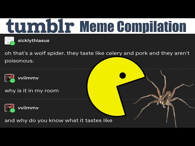 Funny Tumblr Posts | Binge Compilation #1