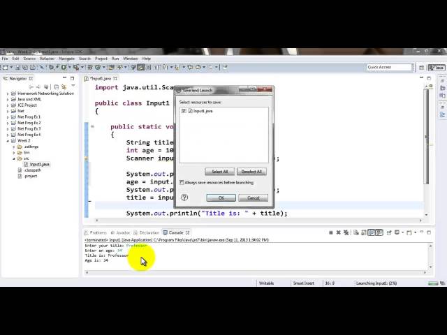 Java Tutorial - Accepting string Input from user on prompt