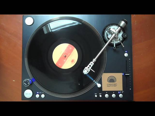 Date Palms - Honey Devash LP - Side B (Mexican Summer Sides Series)