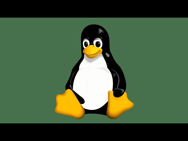 Linux Basics for Beginners – Complete Beginner’s Guide