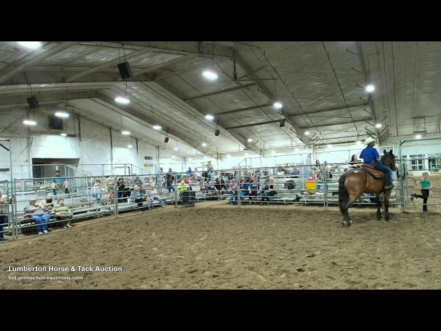 Lumberton Horse & Tack Auction