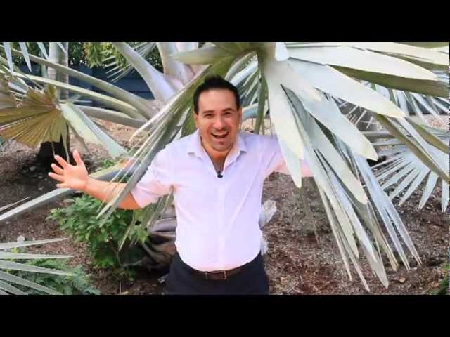 ** SOLD ** 35 Leaver Court, Ormeau by Edgar Natolo