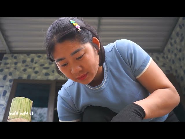 TIMELAPSE: 365 Days Alone Building a Dream House in the Forest | From Start to Finish