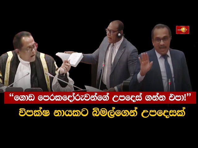 "ගොඩ පෙරකදෝරුවන්ගේ උපදෙස් ගන්න එපා!"  විපක්ෂ නායකට බිමල්ගෙන් උපදෙසක් | Parliament
