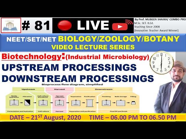 #81. Steps In Upstream & Downstream Processing In Biotech.