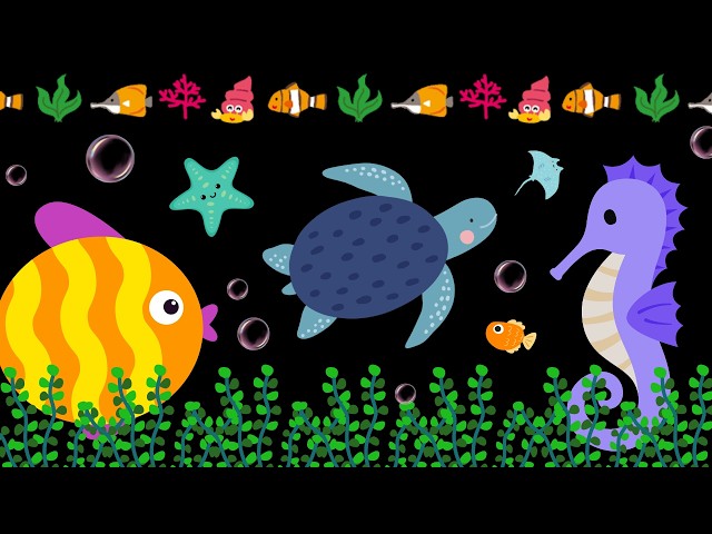 Baby Sensory Video – Newborn Visual Stimulation – Sensory Videos for Babies - Tummy Time #baby