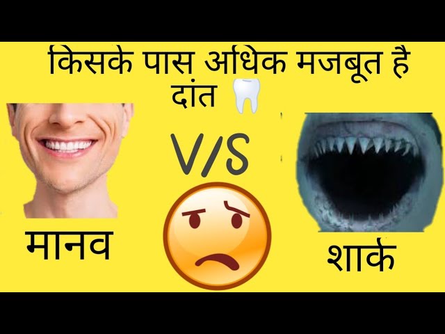 Top 10 amazing facts|Fun facts|Random facts|amazing facts|knowledgeable facts in hindi YouTube video