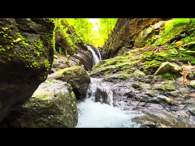 Relaxing forest river sounds | white noise for stress relief and sleeping