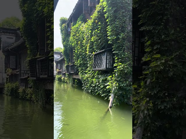 Beautiful china http://555lampen.com