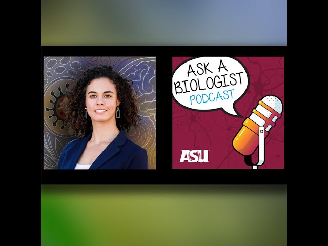 Sneezes, Swelling, and Smart Defenses: The Science of Allergies