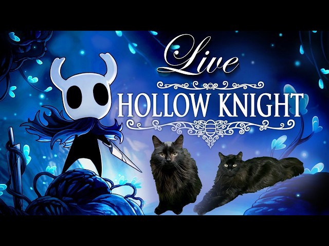 Hollow Knight- Going for 112% part 4