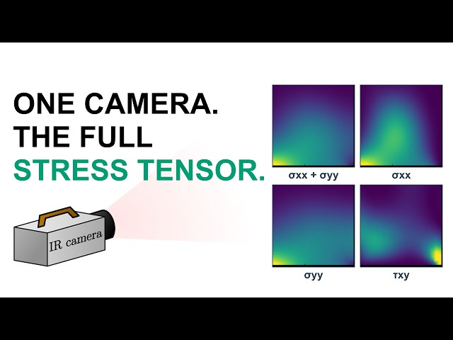 Full-Field Full-Stress-Tensor Identification of Base-Excited Structures