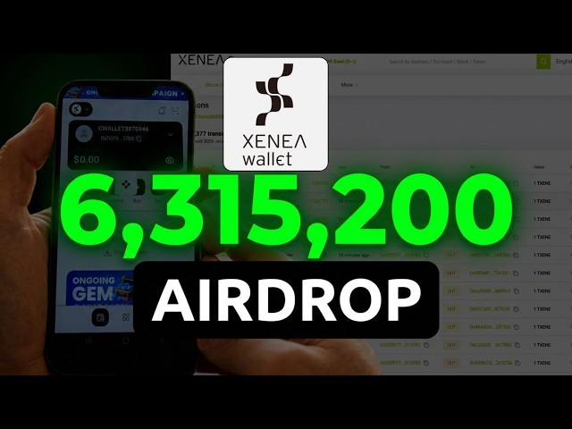 XENEA: Airdrop criteria. Testnet automation! What are the promises? Layer 1.