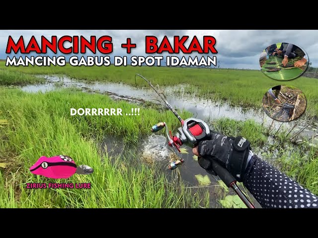 SNAKEHEAD FISHING AT A DREAM SPOT AND GRILLED THE CATCH ON THE SPOT 🤤‼️