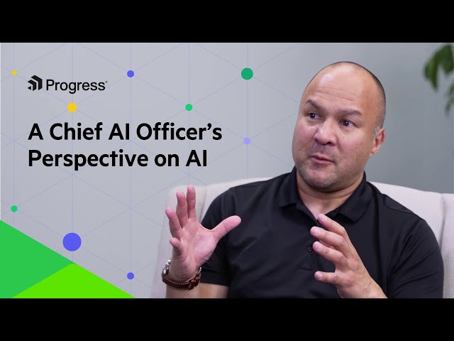 A Chief AI Officer’s Perspective on AI​