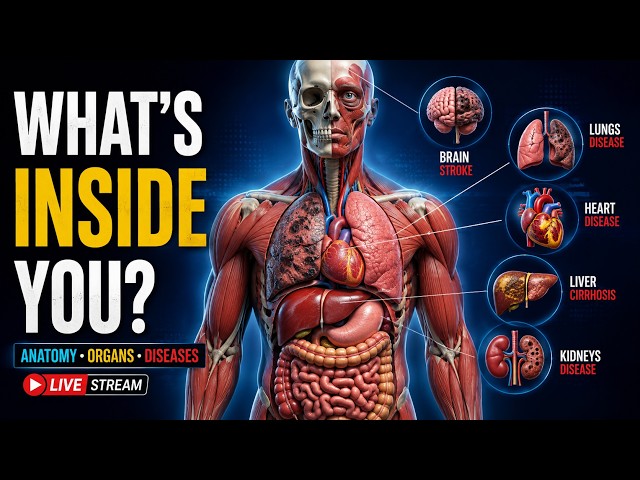 🧠 Human Body Explained | All Anatomical Systems, Organs & Their Functions | Anatomy LIVE'