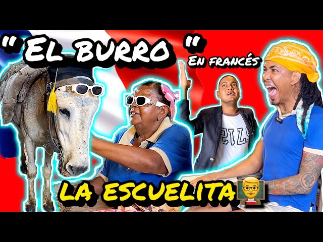 THE DONKEY IN FRENCH CLASS! 🐴🇫🇷 | THE LITTLE SCHOOL ON 42ND STREET! 👨‍🏫 | [MASIORY]
