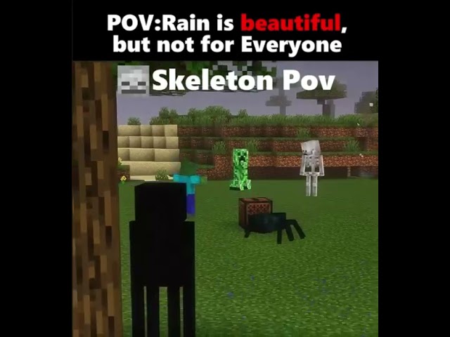 POV  Rain is Beautiful, but not for Everyone