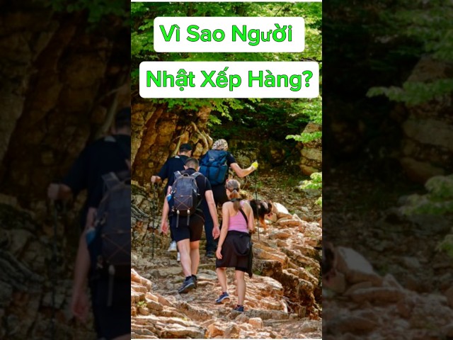 Why Do Japanese People Line Up? | Decoding Japan